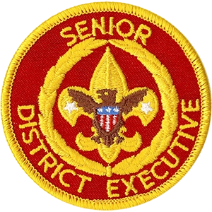 Senior District Executive Patch